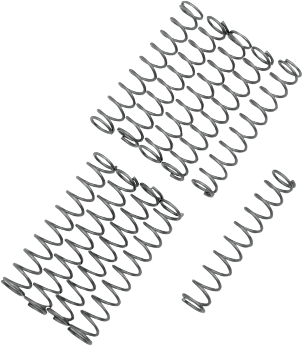 Oil Pump Relief Valve Springs