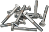 Replacement Hex-Head Bolts