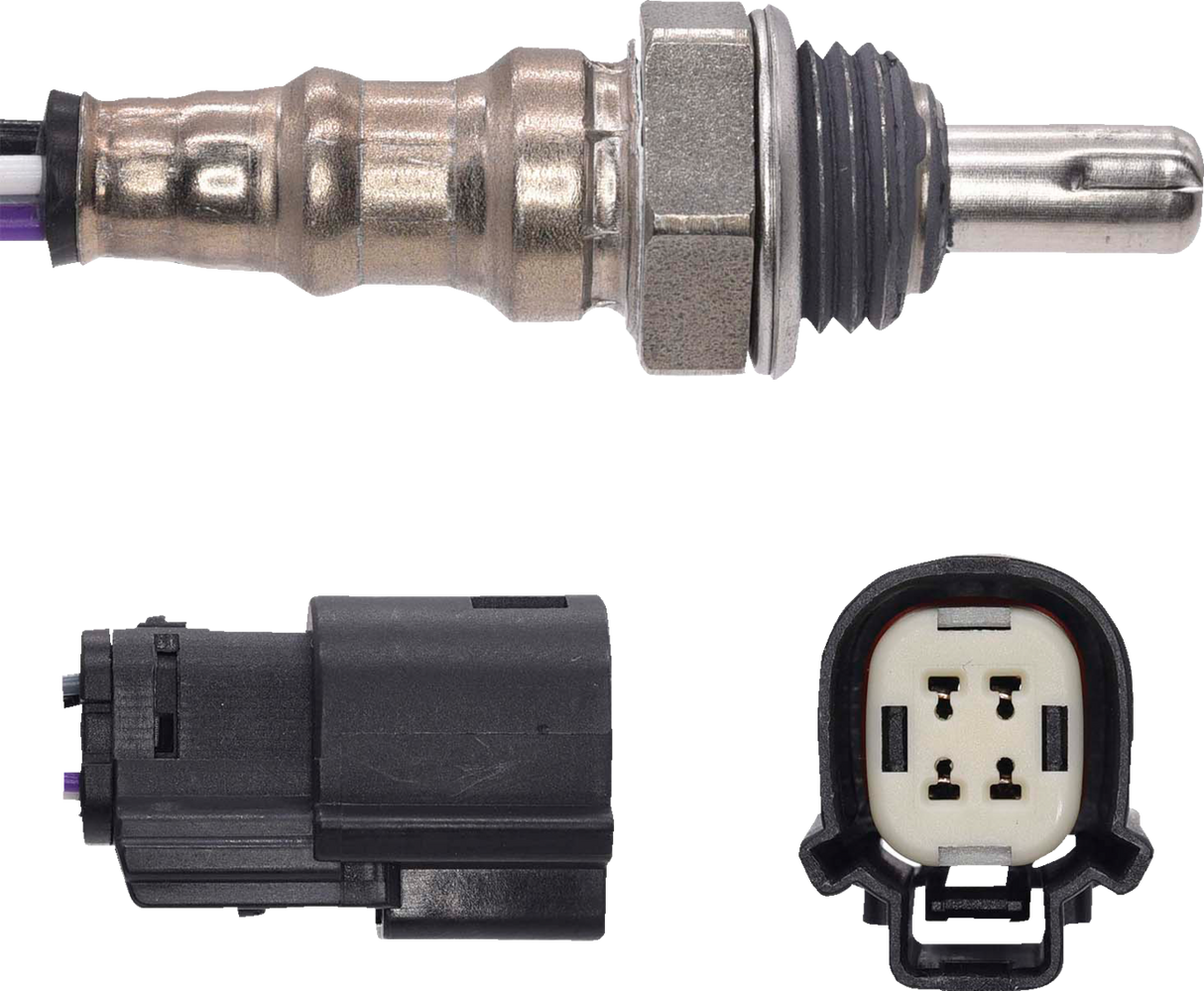 Oxygen Sensor