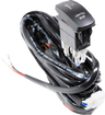 Rocker Switch with Harness