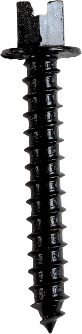Outlaw Canadian Screws