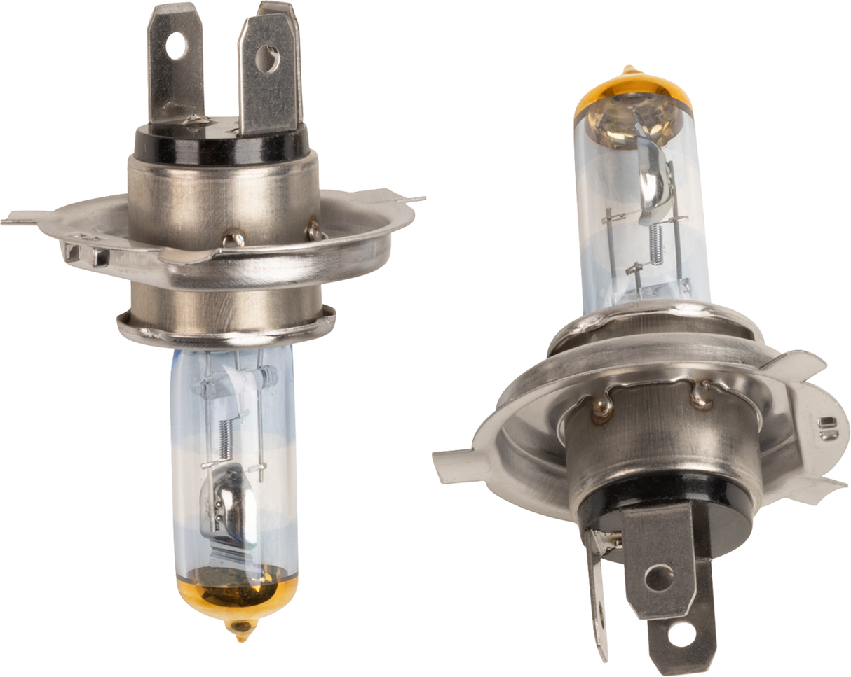 Halogen Bulbs