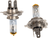 Halogen Bulbs