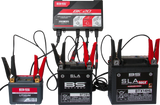 BK20 Smart Bank Battery Charger and Maintainer with Reconditioning Function
