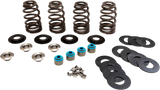 Econo Beehive® Valve Spring Kit