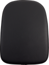 Detachable Pillion Pad