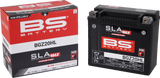 SLA MAX Factory- Activated AGM Maintenance-Free Battery