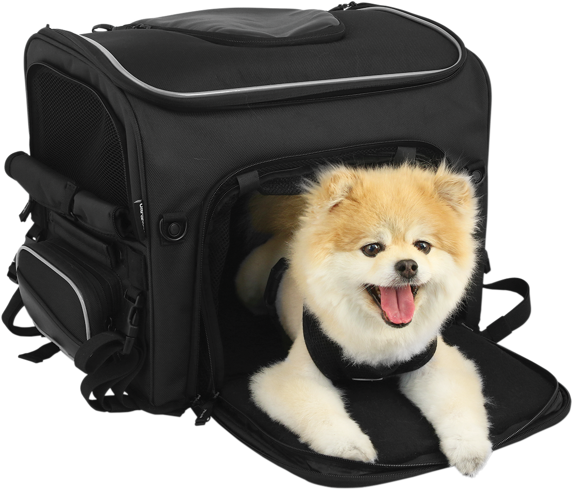 Route 1 Rover Pet Carrier