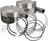 Piston Kit for S&S Motor