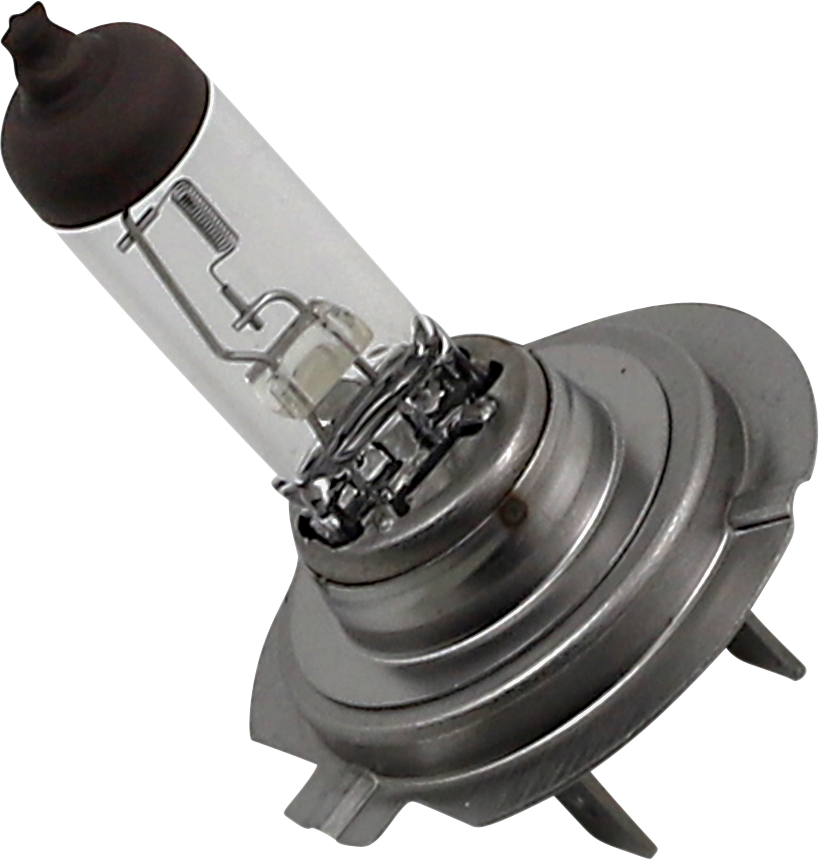 Halogen Bulb