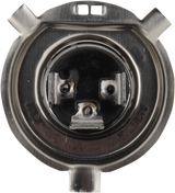 Halogen Bulb