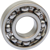 Counterbalance Shaft Bearing