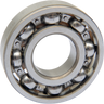 Counterbalance Shaft Bearing