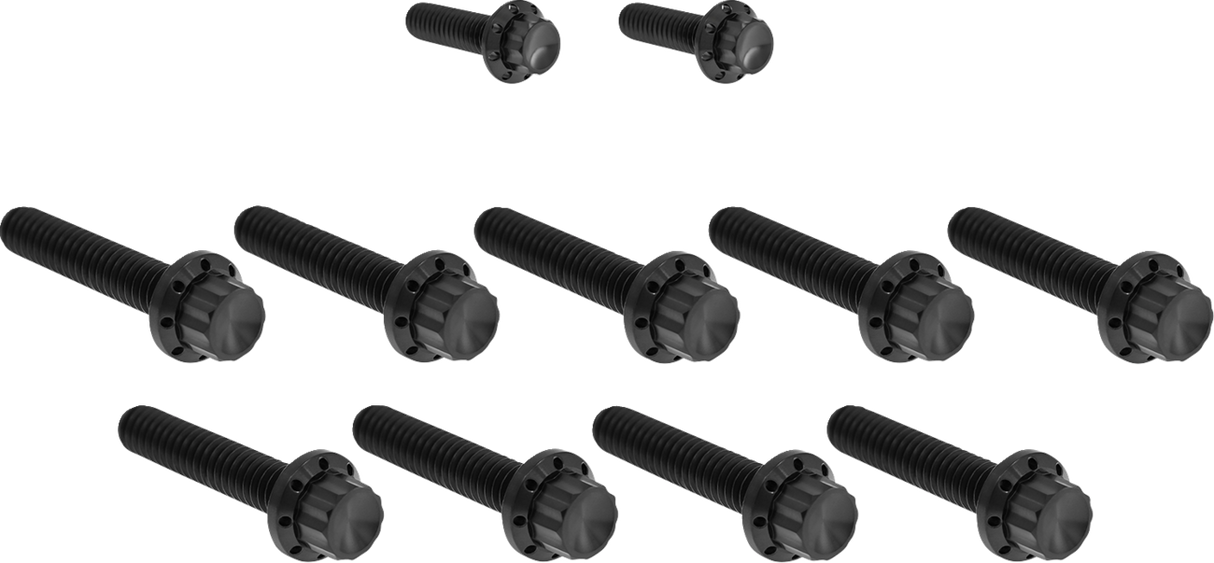 Cam Cover/Point Cover Titanium 12-Point Bolt Kit