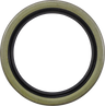 Main Drive Gear Seal Kit