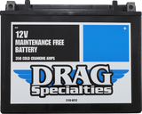 AGM Maintenance-Free Battery