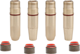 Valve Guide Kit