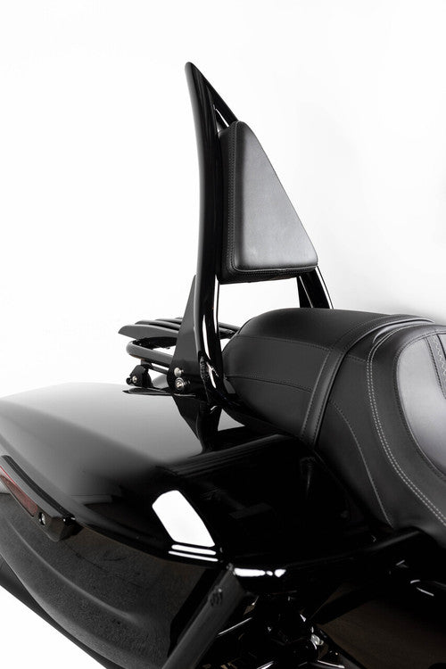 Apex Backrest Plain