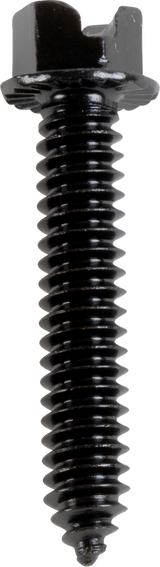 AMA Race Legal Traction Screws