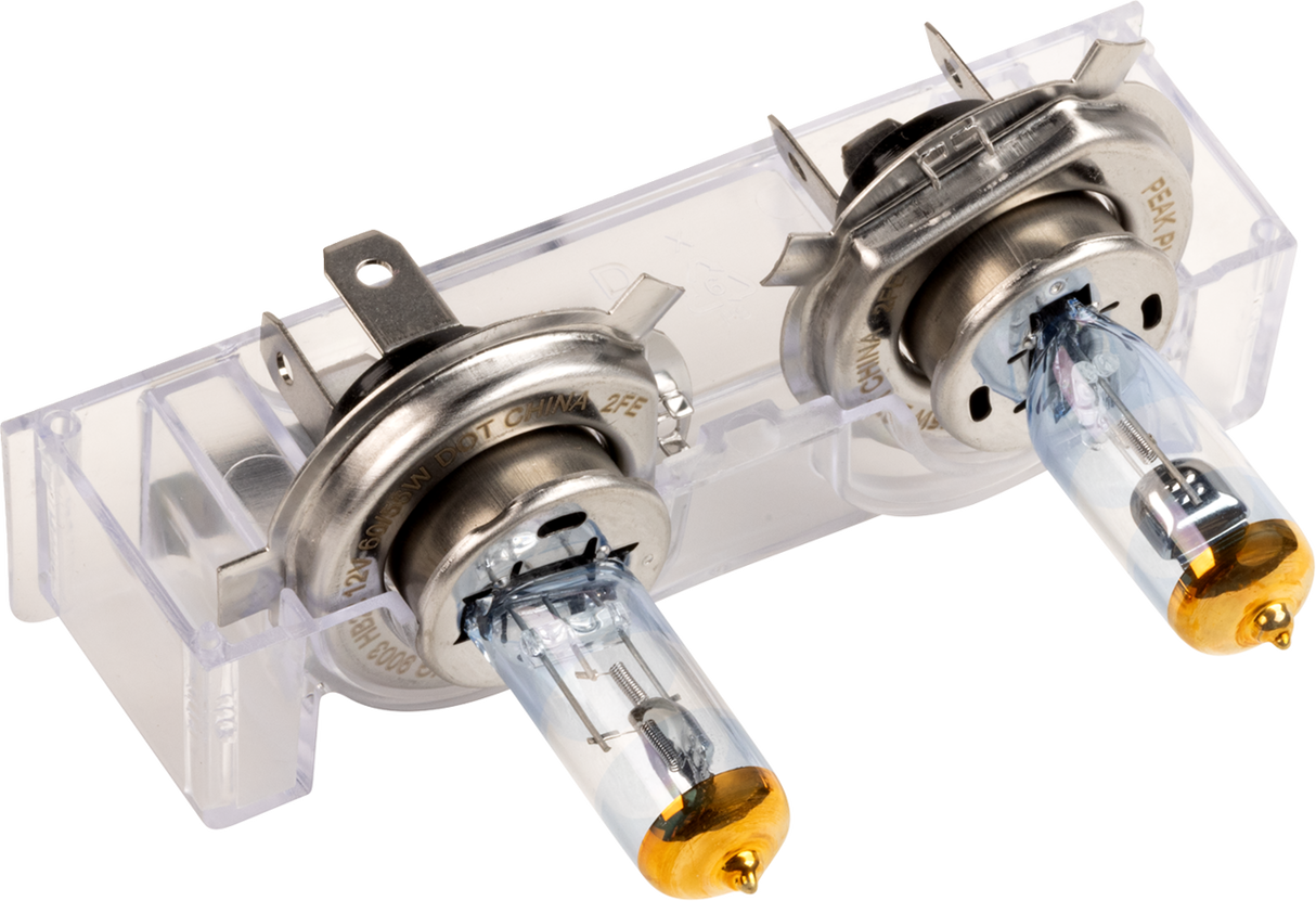 Halogen Bulbs