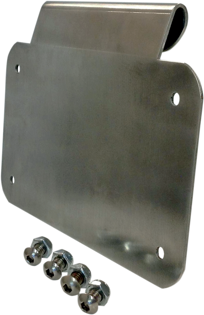 License Plate Mount