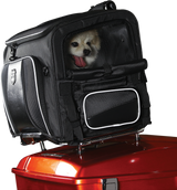 Route 1 Rover Pet Carrier