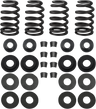 0.585" Street Performance Valve Spring Kit