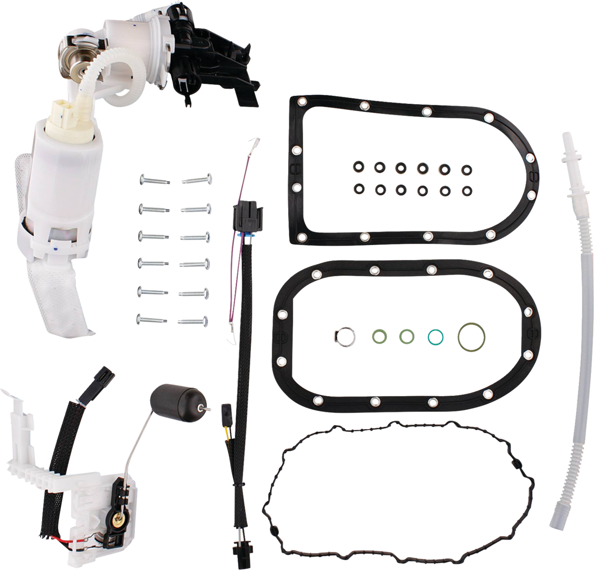 Fuel Pump Module Assembly