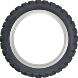 Trailmax Raid Tire