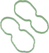 Fuel Pump Door Seal