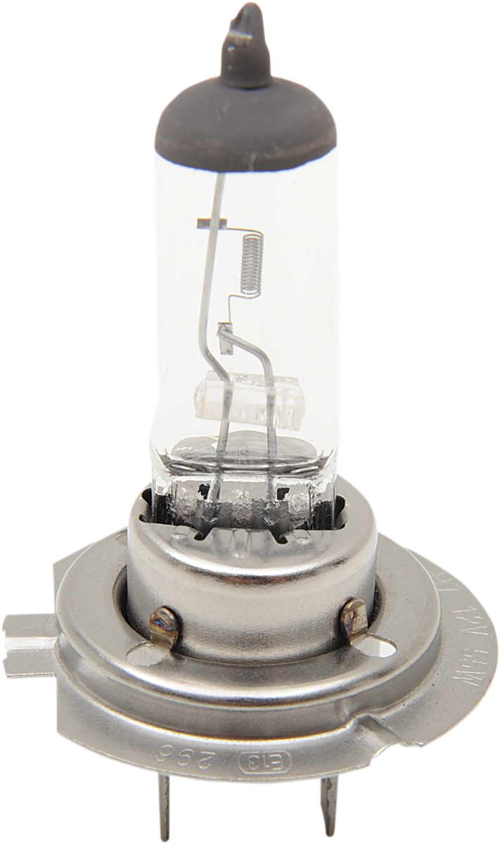 Halogen Headlight Bulb