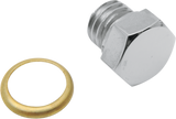 Drain Plug