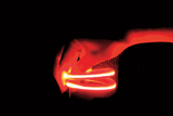 TruFLEX® Flexible LED Strip