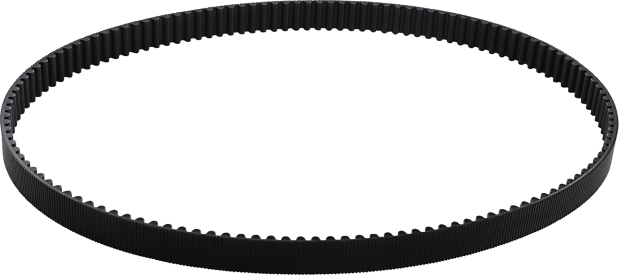 Rear Drive Belt