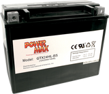 Maintenance-Free Battery