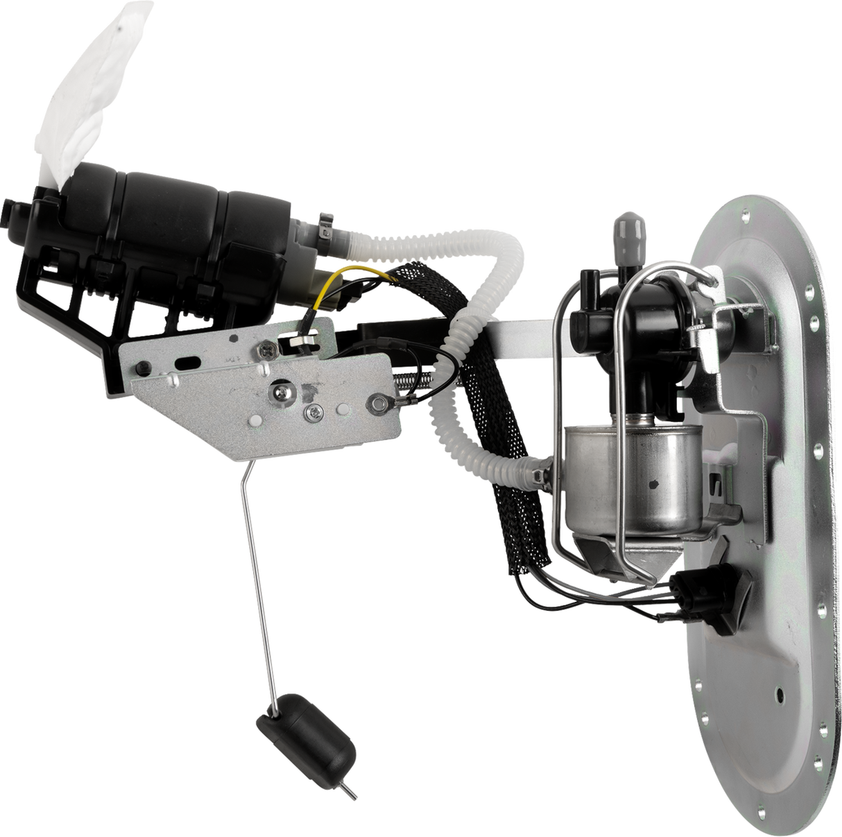 Fuel Pump Module Assembly