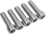 Socket Head Pulley Bolts