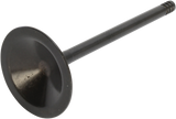 Nitrided Valve
