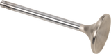 Replacement Stainless Steel Valves for S&S Heads