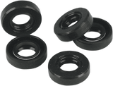 Shifter Shaft Seal