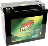 Maintenance-Free Battery