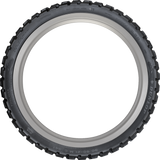 Trailmax Raid Tire