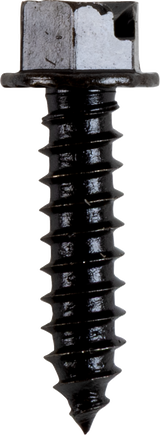 AMA Race Legal Traction Screws