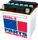 Heavy-Duty Battery