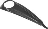 Carbon Fiber Dash Panel For Touring Models