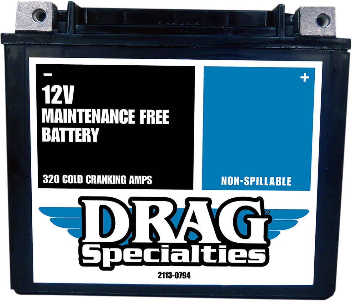 Factory-Activated High-Performance AGM Maintenance-Free Battery
