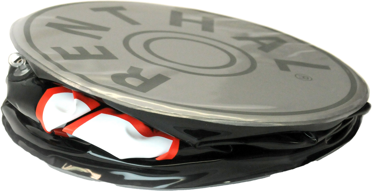 Inflatable Feature Display