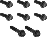 Transmission Trap Door Titanium 12-Point Bolt Kit — For 6-Speed Transmission