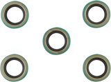 Starter Shaft Seal