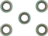 Starter Shaft Seal